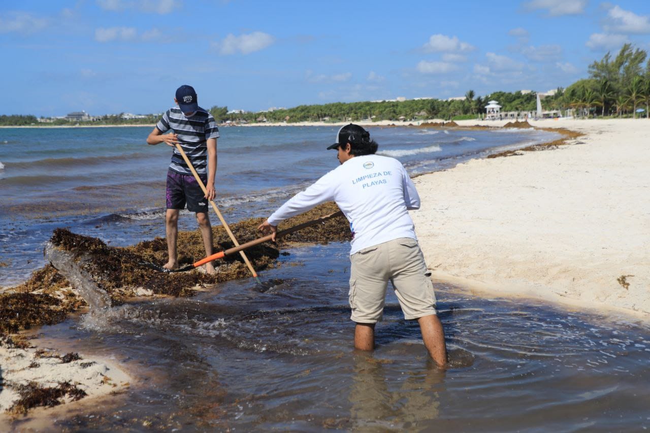 Continúa jornada de limpieza de playas