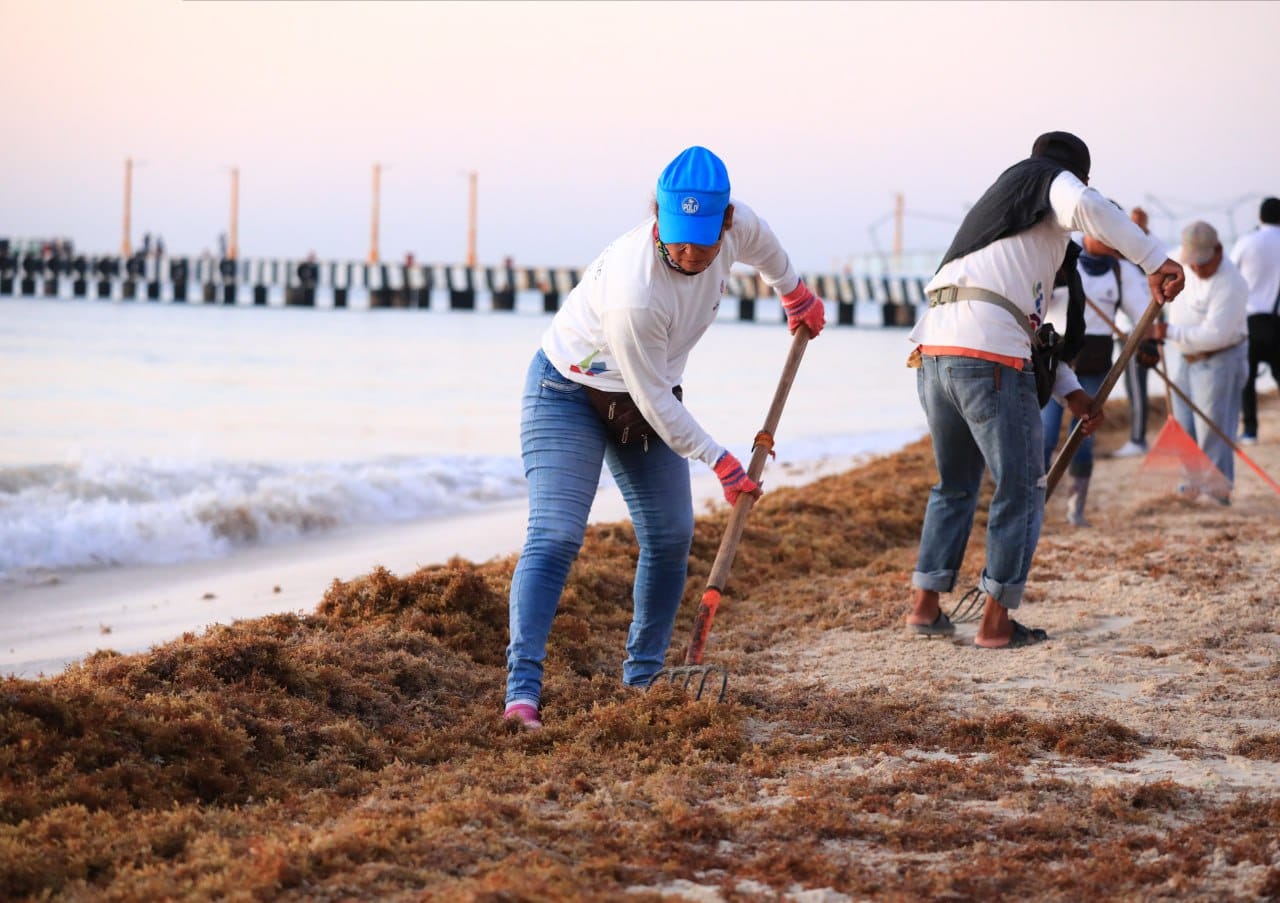 Limpieza de playas, prioridad de gobierno de Solidaridad